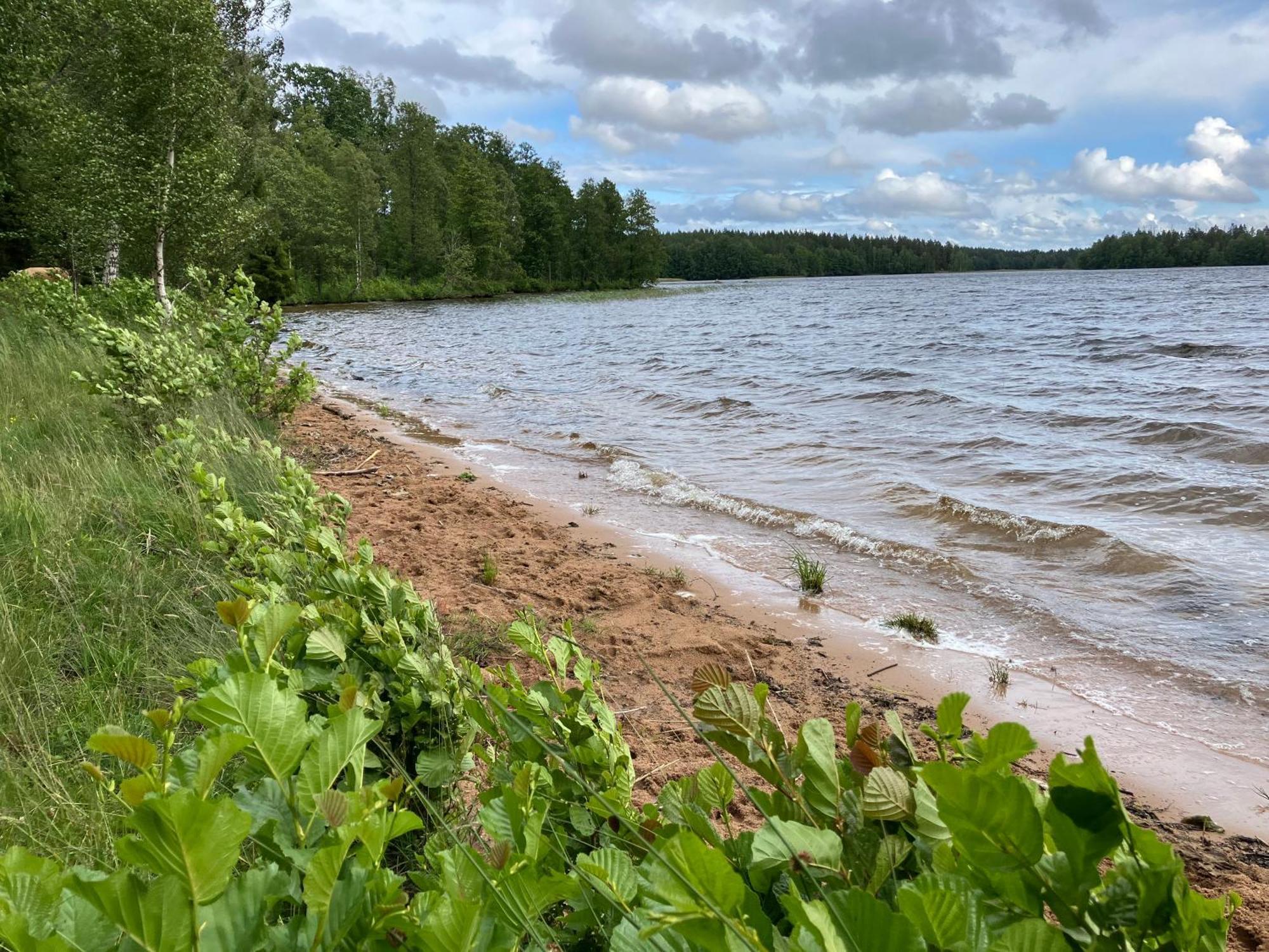 Lidhem Herrgard. Bed & Breakfast Och Mindre Laegenheter Vimmerby Exteriér fotografie